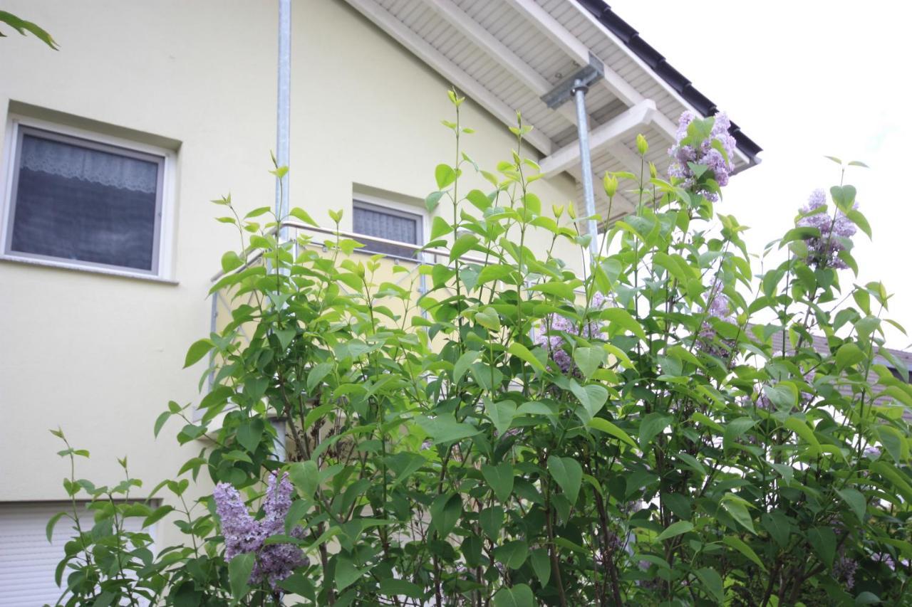 Windjammer Koserow Екстериор снимка